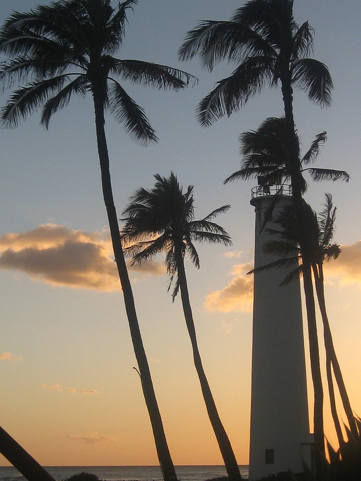 naplemente, pálmák, világítótorony, Hawaii, tengeri, táj, tengerpart