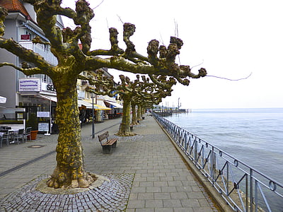 puut, Seaside, Colonnade, rannalla, muhkurainen, talvi, Matkailu