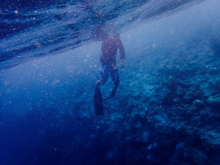 vody, pod vodou, modrá, koraly, Potápanie, ľudia, muž