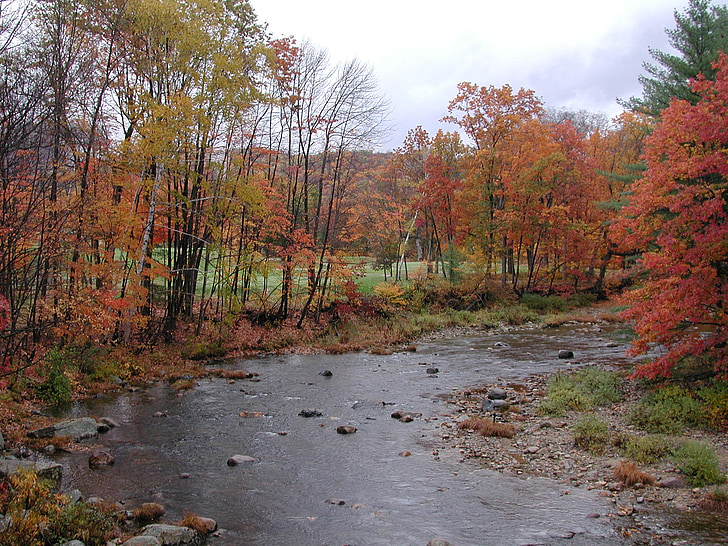 New hampshire, Jackson, Stream, bäcken, Höstens färger, faller, hösten