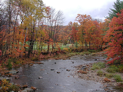 新汉普郡, 杰克逊, 流, 溪, 秋天的颜色, 秋天, 秋天