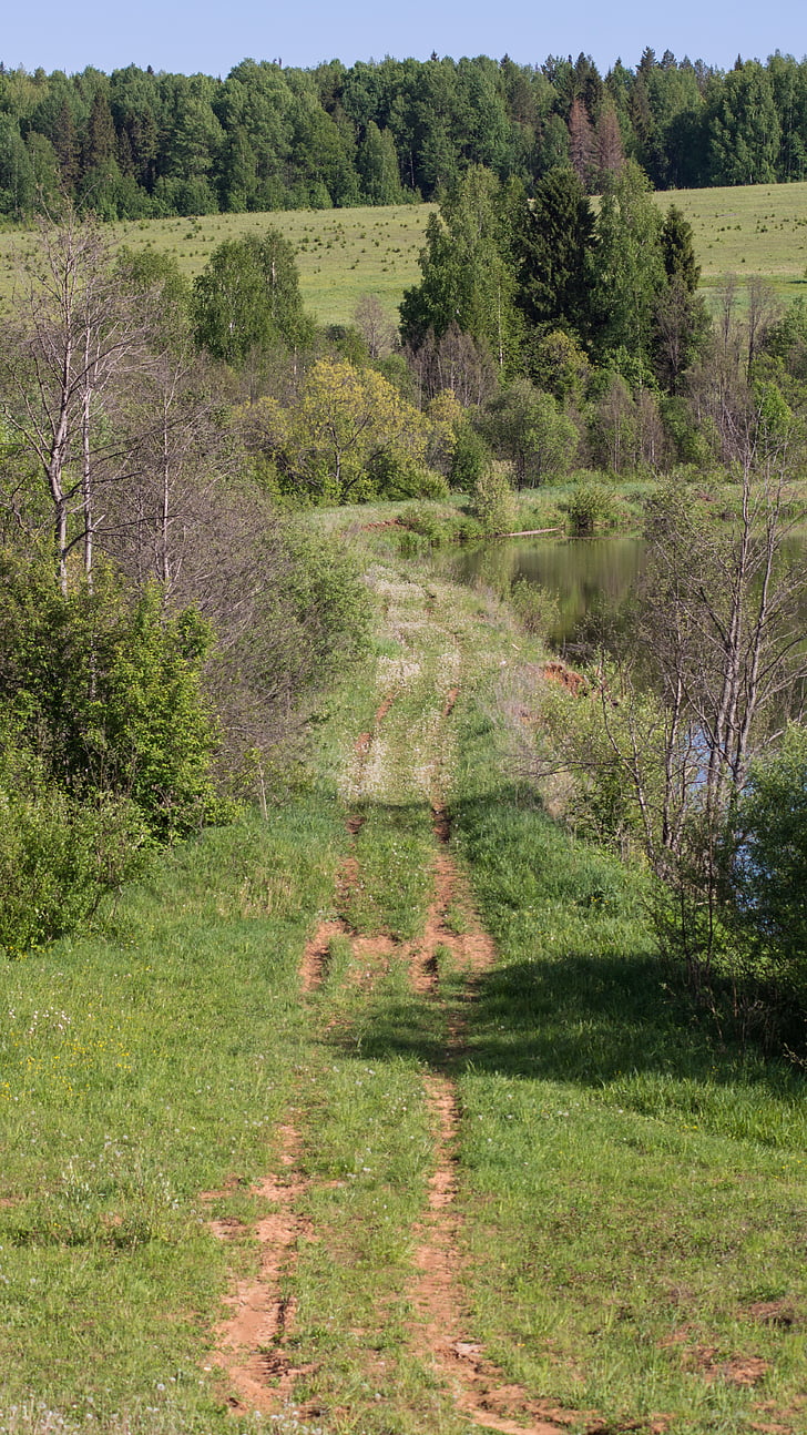 road, trail, grass, greens, trees, nature, landscape