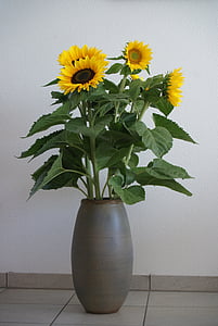 μπουκέτο γενεθλίων, Ηλίανθος, κίτρινο λουλούδι, φωτεινή