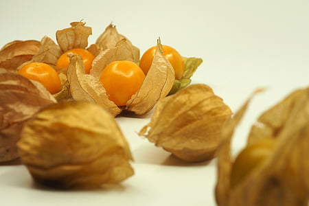 bacca di Kut, frutta, salute, arancio, fresco, Shell, cerchio