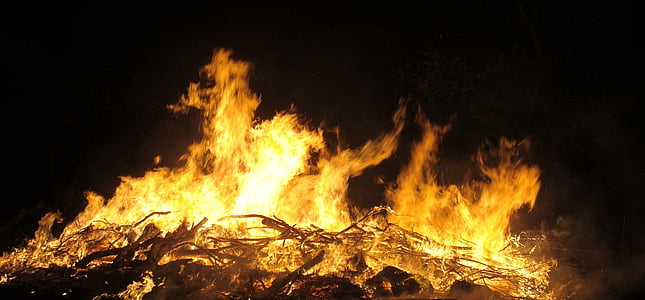 fogo, queimadura, flama, madeira
