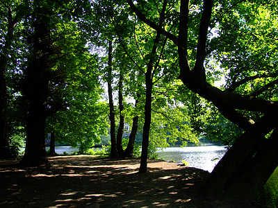 parku, Swan zrcadlo, Düsseldorf, idyla, odpočinek, zotavení, světlo
