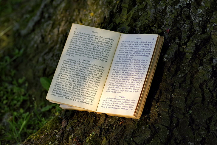cuốn sách, đọc, công viên, cũ, bằng văn bản, kiến trúc Gothic, cây
