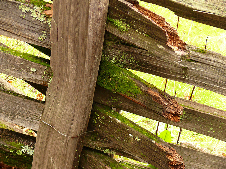ограда, дървен материал, стар, мъх, Калифорния, крайградски, Грийн
