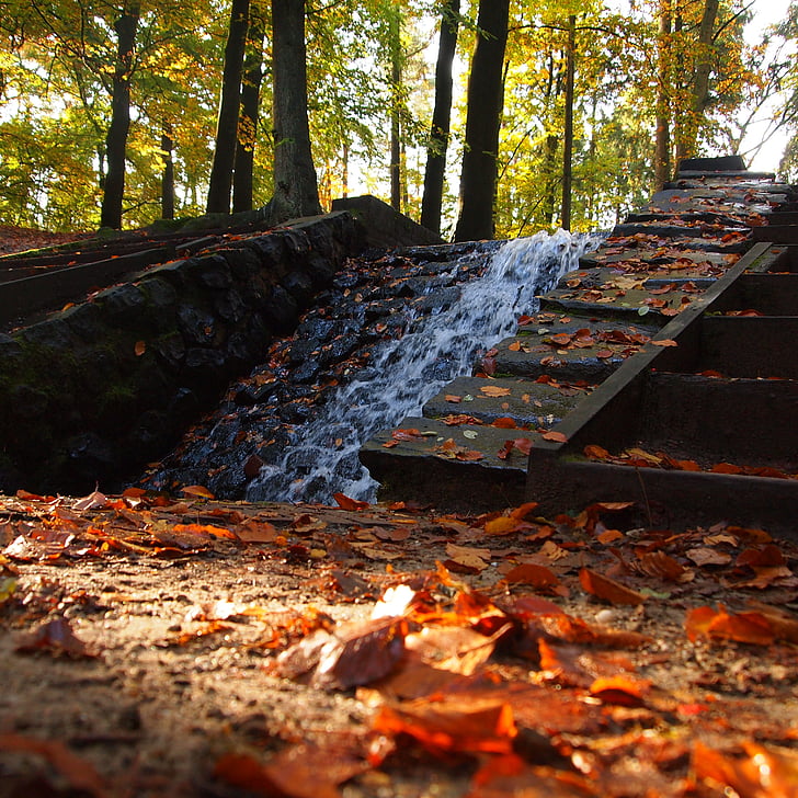 Cachoeira, água natural, brilhante, paisagem, Outono, sol, folha