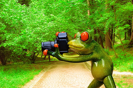 žaba, fotograf, zabavno, zabavno, kamero, zelena, živali