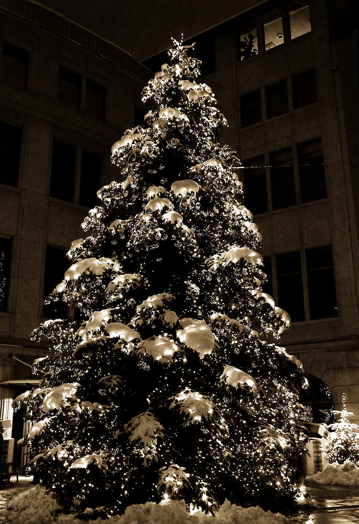 christmas, tree, christmas balls, balls, night, light, snow