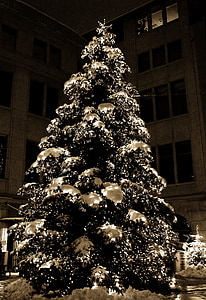 Christmas, treet, baller, baller, natt, lys, snø