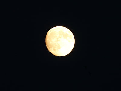 Луната, качество, пълнолуние, нощ, лунна светлина, мистични, фентъзи