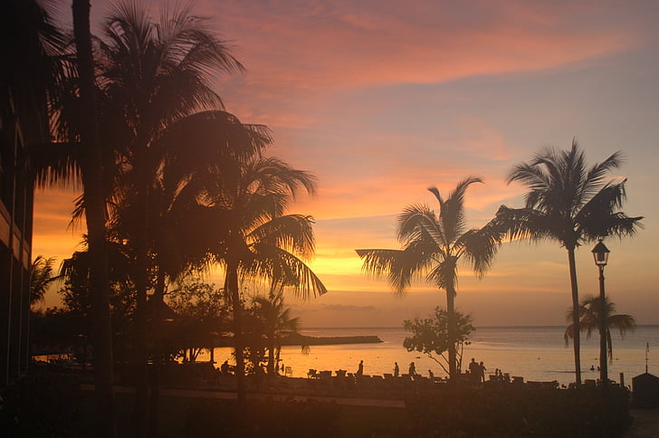 รุ่งอรุณใน jamaika, ชายหาด, ปาล์ม, ทราย, ปาล์มทรี, ต้นไม้, พระอาทิตย์ตก