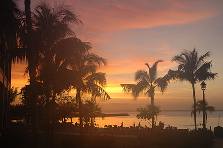 aurore en jamaika, plage, palmiers, sable, palmier, arbre, coucher de soleil
