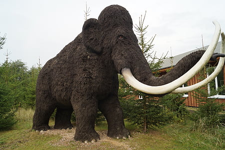 mamut, dinosaurio, mamíferos, tiempos prehistóricos