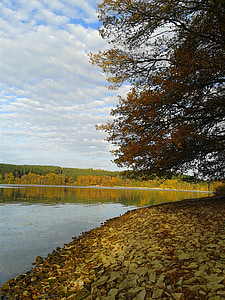 möhnesee, 貯水池, 秋, 黄金色の秋