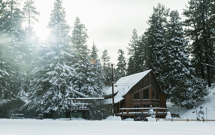 neve, cobertos, cabine, cercado, árvores, dia, tempo
