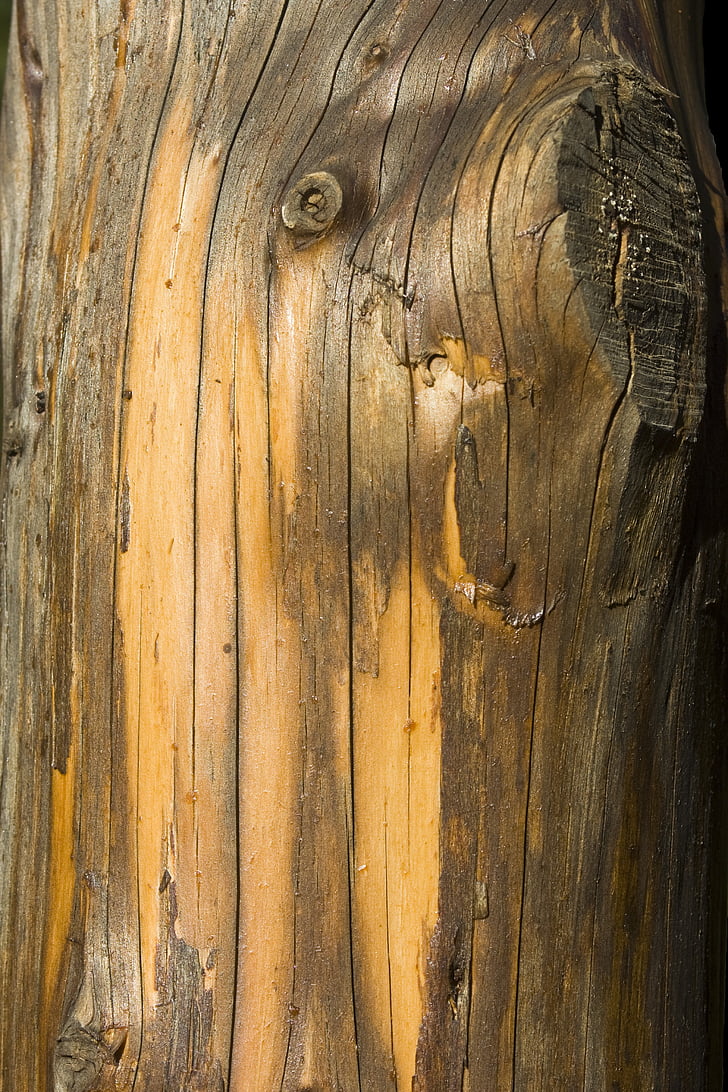 Log, Rinde, Baumrinde, Holz, Textur, Struktur, Hintergrund
