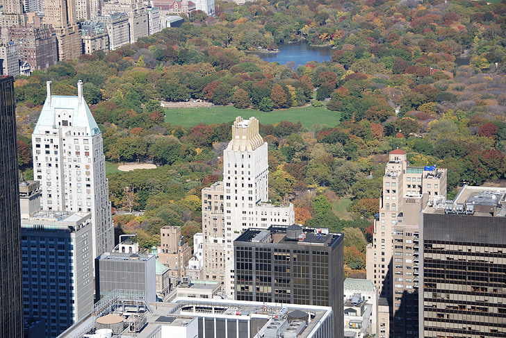 New york, Central park, Wolkenkratzer, u s, See, Baum, Farben