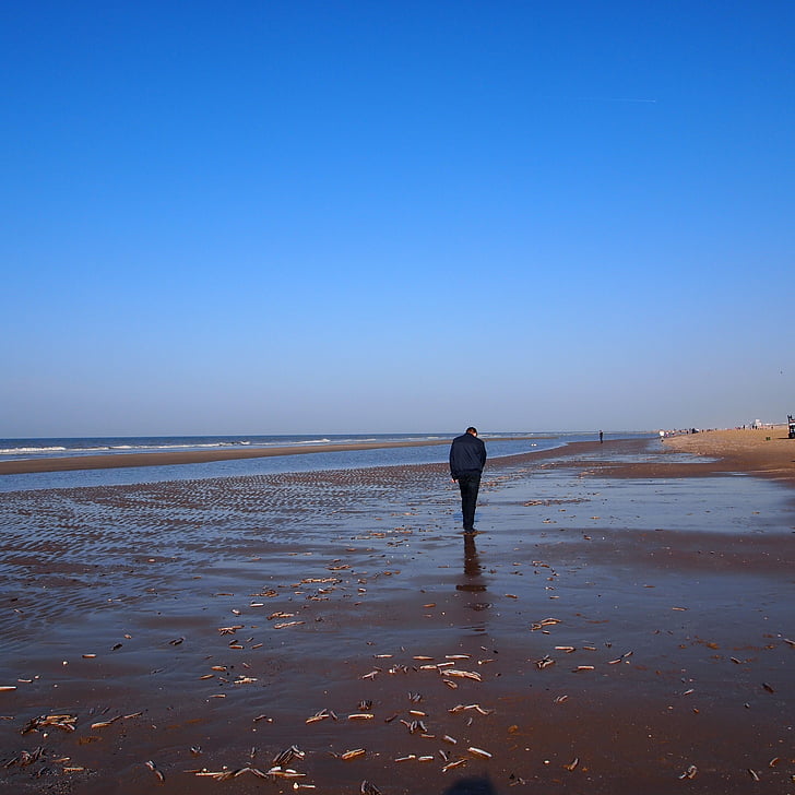 home, a peu, l'aigua, Mar, platja, moviment, persones