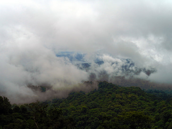 deštný prales, mraky, Tropical, zelená, Příroda, Kostarika