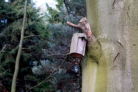 nesting box, aviary, forest, tree, shelter