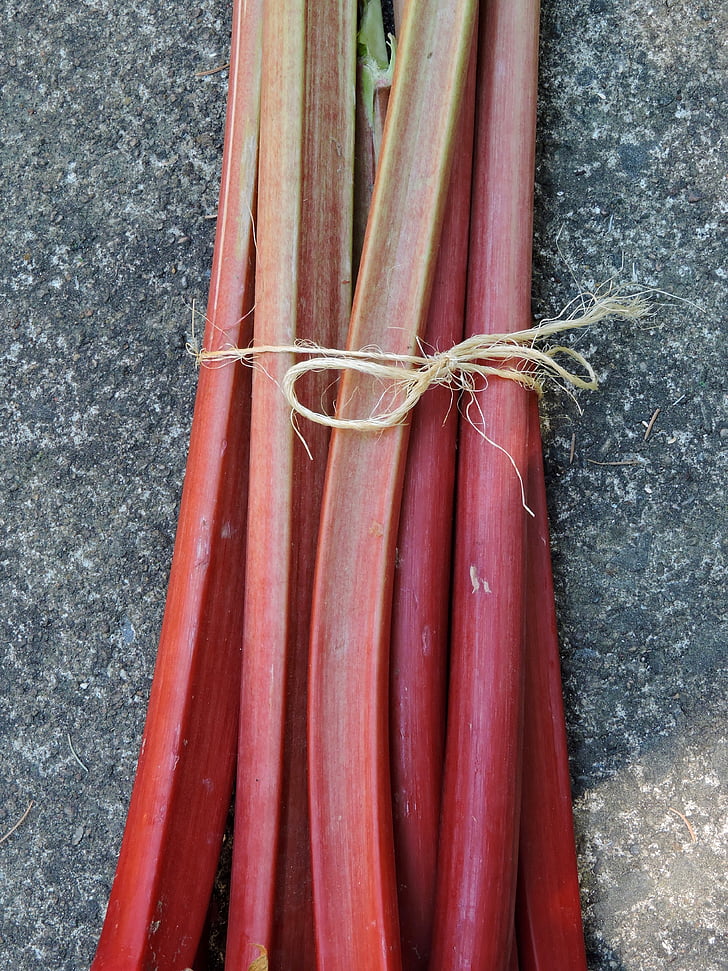 ruibarbo, tallos de ruibarbo rojo atados, planta comestible