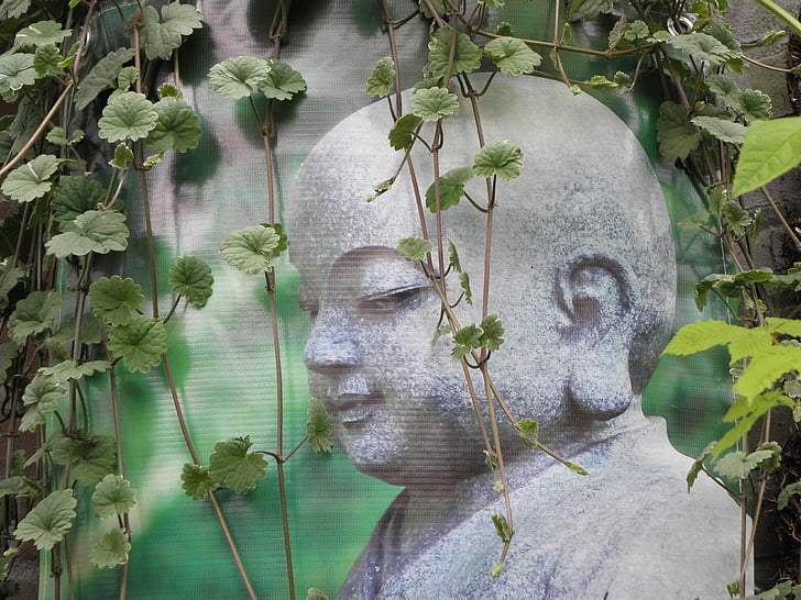 Bouddha, moine, Zen, se détendre, plante