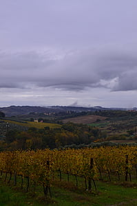 campos, colinas, Itália, uvas, vinhedo, nuvens, céu
