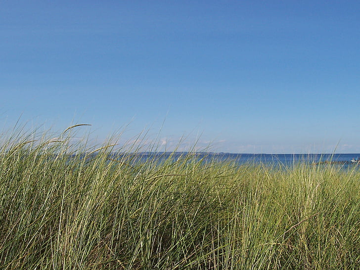 jezero, pláž, tráva, Michigan, léto, Příroda, písek
