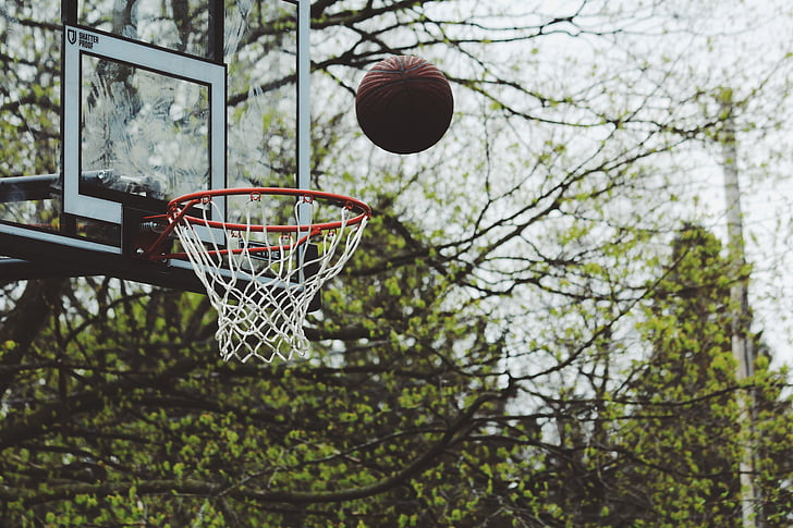 green, trees, plant, nature, outdoor, basketball, ring