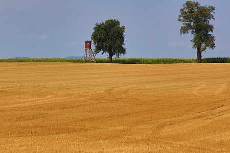 Landschaft, Kornfeld, Natur, Landwirtschaft, gemäht, Baum, Feld
