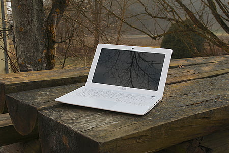 laptop, notebook, work, independent, computer, technology, wood - Material