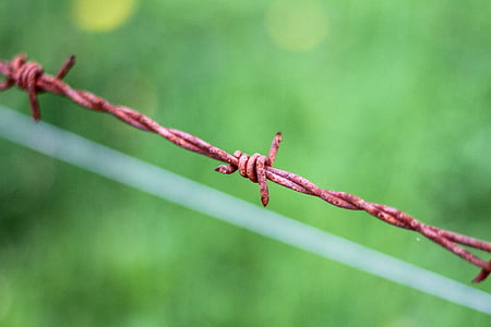 barbed wire, stainless, fence, wire, rusted, close, detail