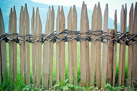 fence, wood fence, battens, paling, limit, border, garden fence