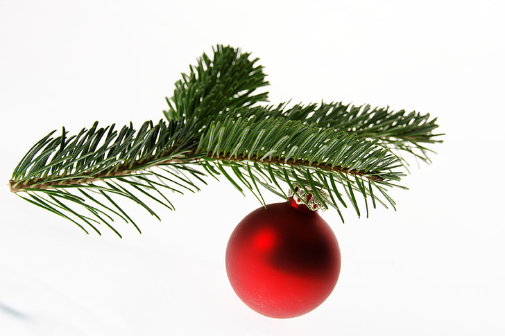 fir, nordmann fir, christmas tree, christmas, ball, deco, christmas decorations