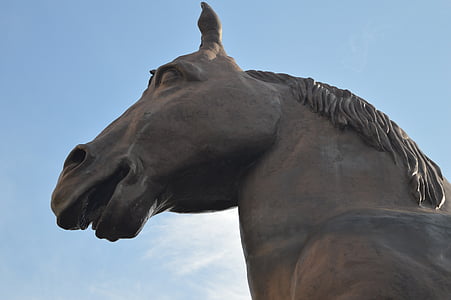 Статуята, кон, животните