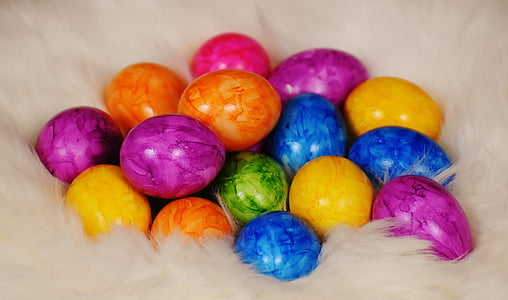 easter, colorful eggs, lambskin, happy easter, multi colored, easter egg, indoors