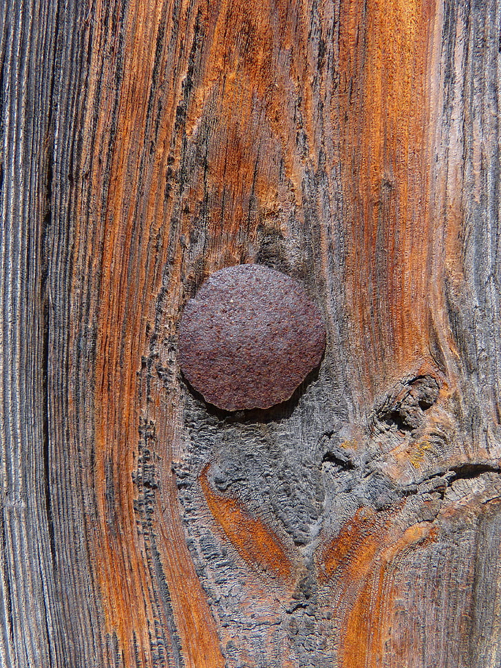 dveře, nehty, textura, staré dřevo, dřevo - materiál, pozadí, hnědá