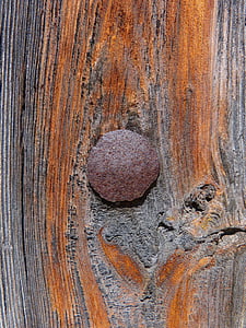 pintu, kuku, tekstur, kayu tua, kayu - bahan, latar belakang, coklat