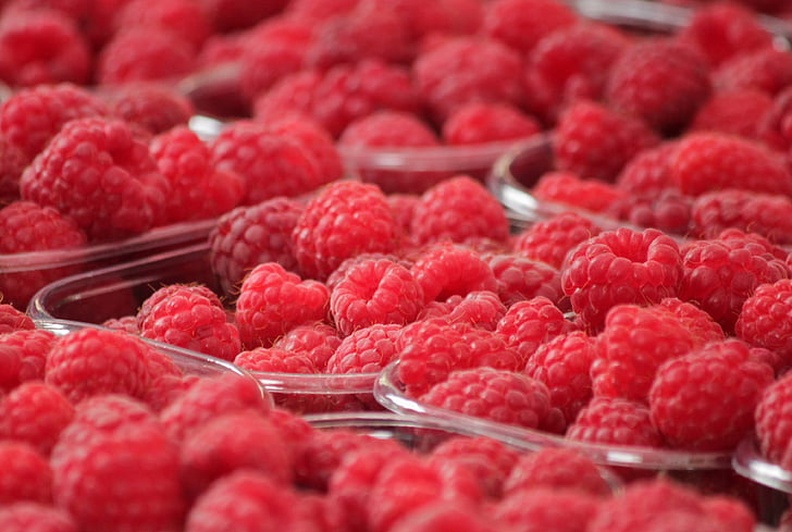 raspberries, fruits, berries, fruit, red, food, berry