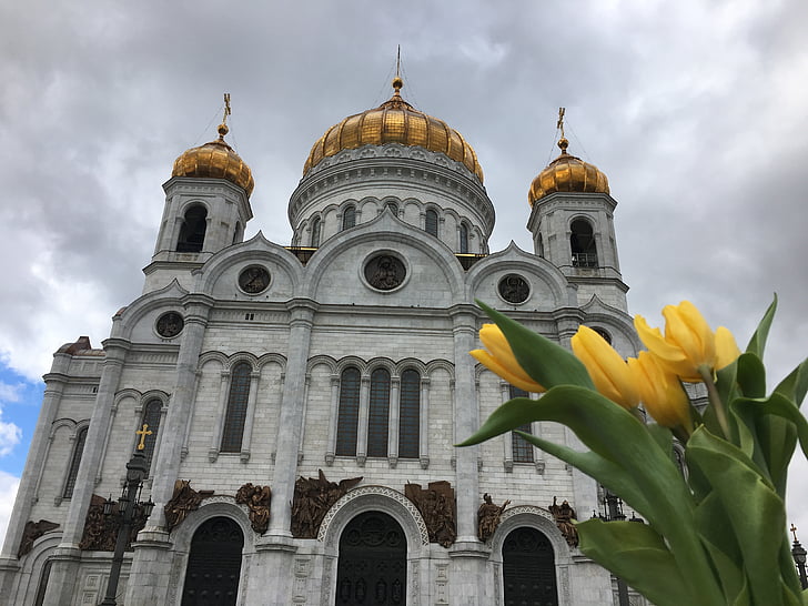 cathedral of christ the savior, cathedral, tulips, moscow, architecture, yellow tulips, bad weather