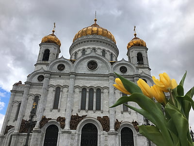 a Megváltó Krisztus-székesegyház, székesegyház, tulipán, Moszkva, építészet, sárga tulipánok, rossz időjárás