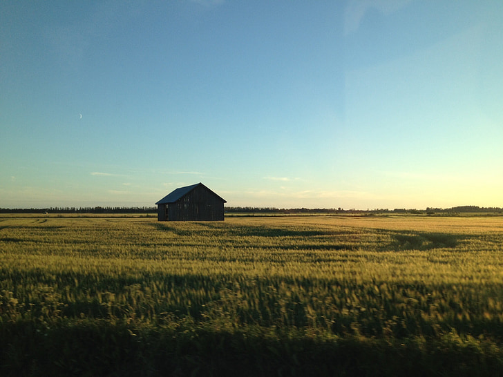 barn, landscape, field