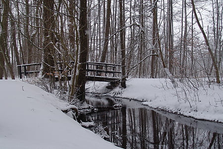 snow, forest, bridge, snow landscape