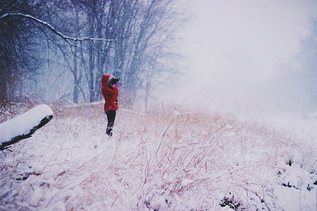 감기, 야외에서, 눈, 겨울, 여자, 자연, 스포츠