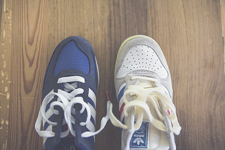 chaussures de sport, chaussures, chaussures de sport, chaussures de salle, Adidas, bleu, étiquette