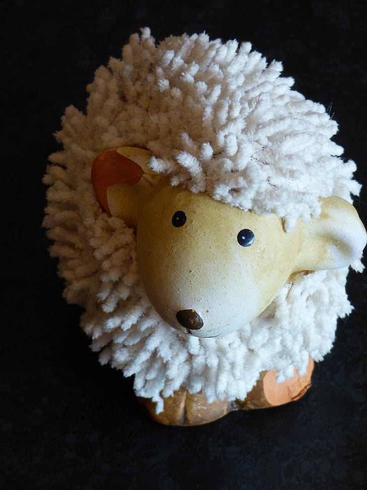 sheep, soft toy, animal world, funny, cute, toys