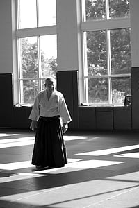 Aikido, kampsport, selvforsvar, læring, Seminar, senseis, trening